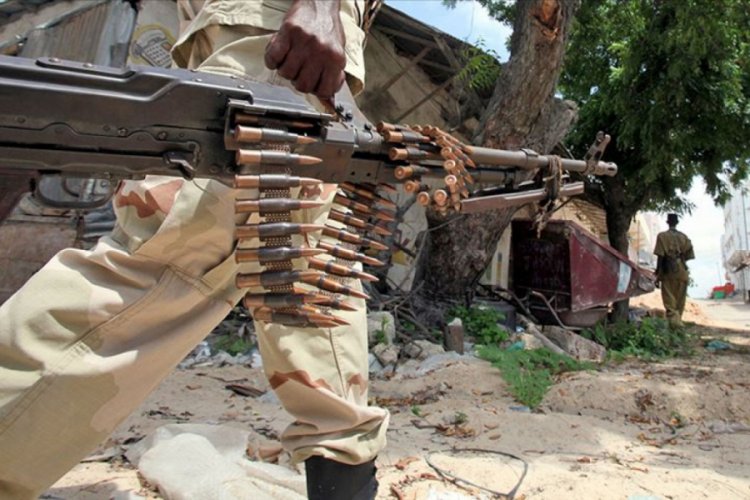 Somali'den BMGK'nin silah ambargosu kararına tepki