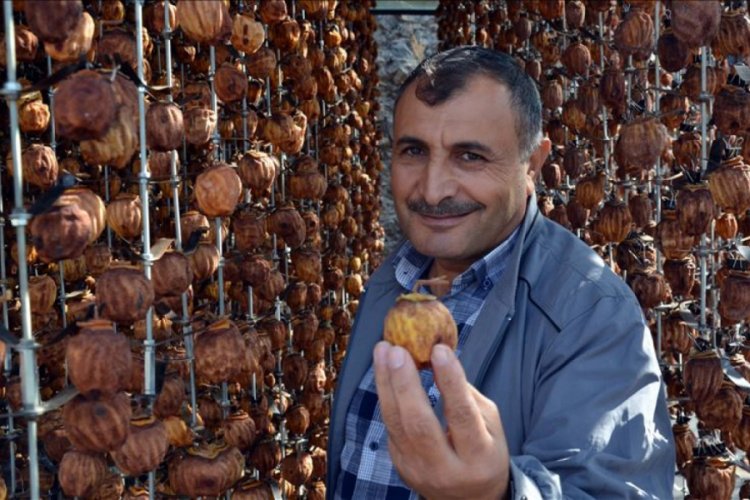 Cennet hurmasını kurutup 1 lira yerine 23 liradan satıyor