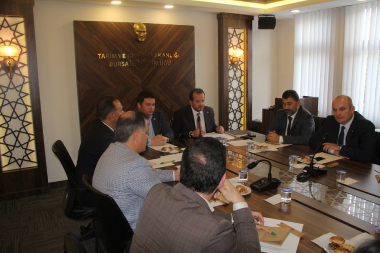 Bursa Milletvekili &Ouml;zen: "Tıbbi aromatik bitkilerden daha fazla katma değer elde edilecek"