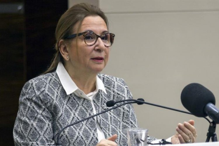 Bakan Pekcan'dan g&uuml;mr&uuml;k hattı teklifi