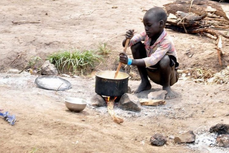 BM: Sahel b&ouml;lgesinde 2,5 milyon kişi acil gıda yardımına ihtiya&ccedil; duyuyor