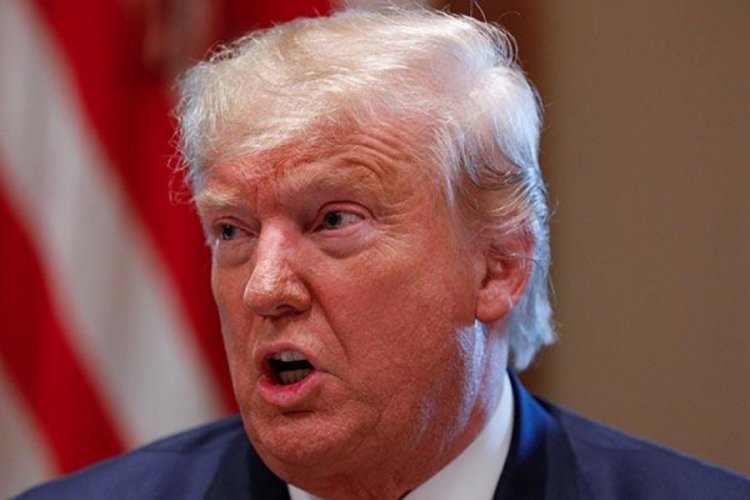 Trump'tan Azil a&ccedil;ıklaması: Minik fırıldak