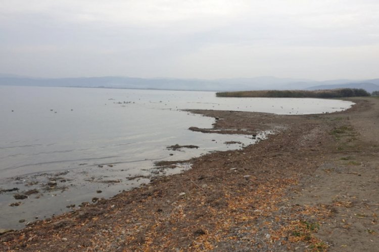 Kuraklık sebebiyle Bursa İznik G&ouml;l&uuml;'nde adacıklar oluştu