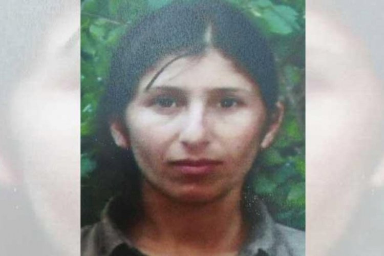 PKK'nın s&ouml;zde 'Dersim eyaleti' konsey &uuml;yesi yakalandı