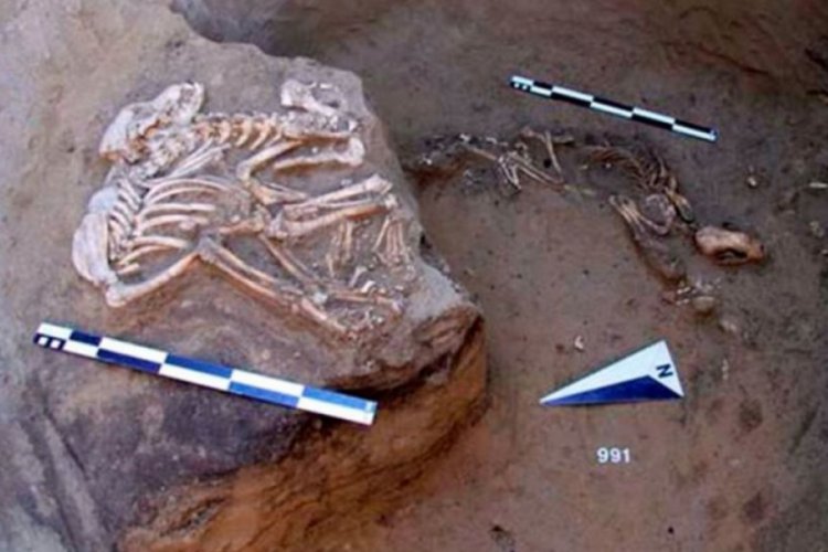 Sibirya'da Cilalı Taş devrine ait ibadet eşyaları bulundu