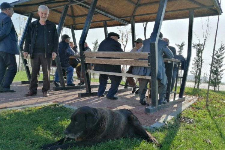 Bursa'da huzurevi sakinlerinden barınak ziyareti