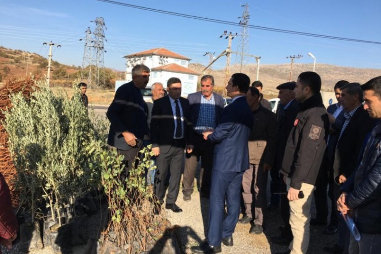 &Ccedil;ft&ccedil;ilere 14 bin meyve fidanı dağıtıldı