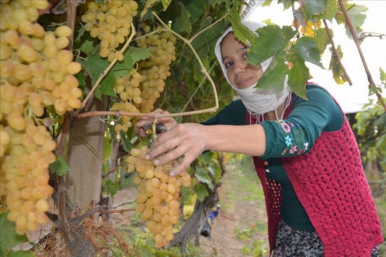 ABD-&Ccedil;in rekabeti T&uuml;rk &uuml;z&uuml;m&uuml;ne yaradı