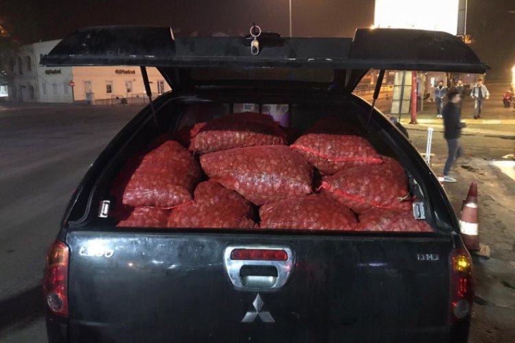 800 kilo ka&ccedil;ak kum midyesi ele ge&ccedil;irildi