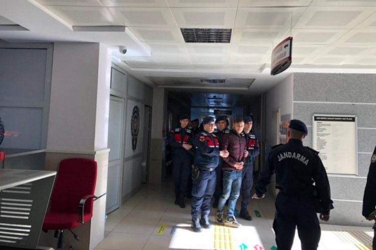 240 koyunu &ccedil;alan 2 kişi yakalandı