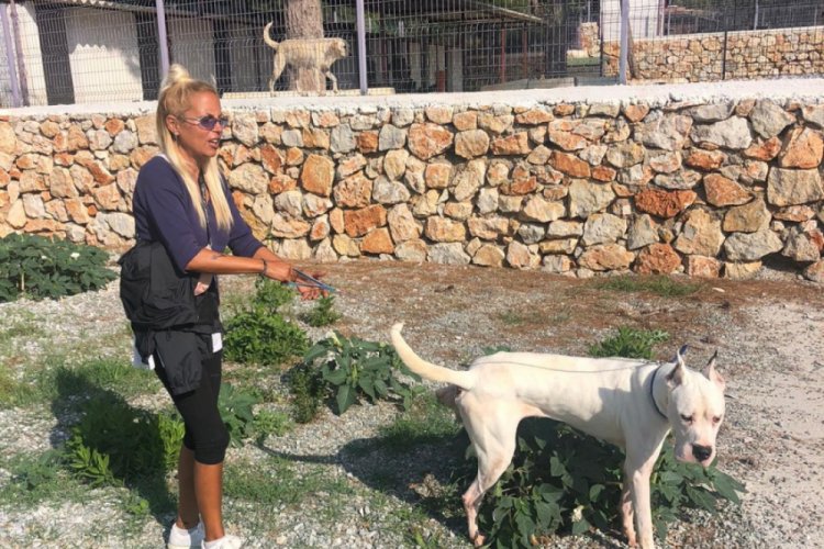 &Uuml;nl&uuml; m&uuml;zisyen Ay&ccedil;a Tekindor, hayvanseverlere seslendi