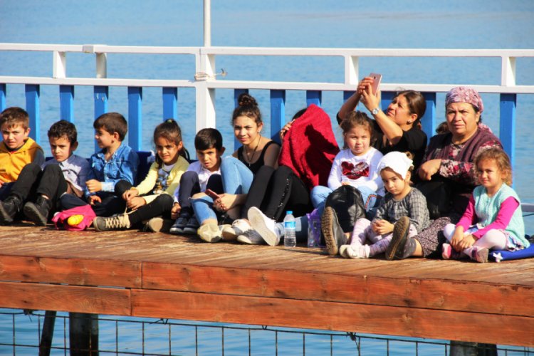 Ara tatilde yunus parkında izdiham yaşandı
