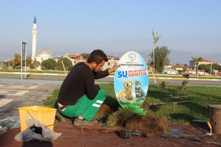 Sokak hayvanları i&ccedil;in suluk bıraktılar