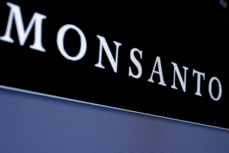 Monsanto zehirli tarım ilacı kullandığını kabul etti