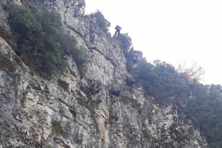 Mahsur kalan ke&ccedil;iler AFAD tarafından kurtarıldı