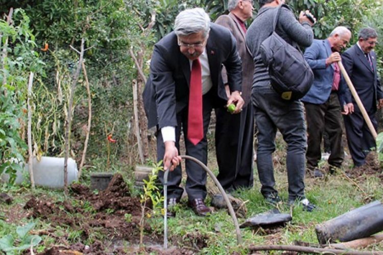 Kırıkhan'da 900 nar fidanı dağıtıldı