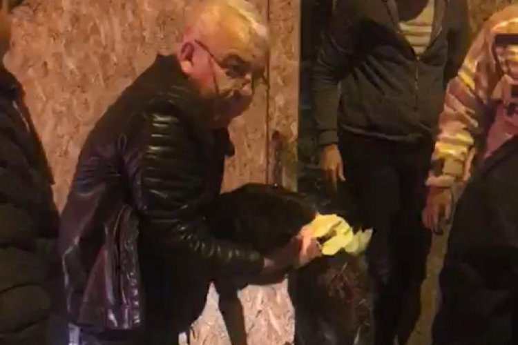 Bursa'da yaralı sokak k&ouml;peğini itfaiye kurtardı