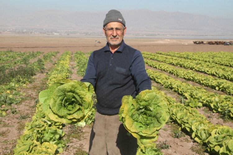 Su &ccedil;ekildi, nehir kenarında tarım başladı