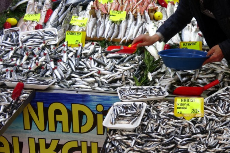 Karadeniz hamsisinin kilogram fiyatında d&uuml;ş&uuml;ş s&uuml;r&uuml;yor