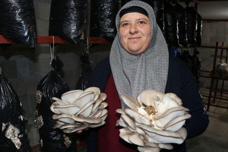 Evinin odasında yetiştirdiği mantarı hibe sayesinde tesise taşıdı