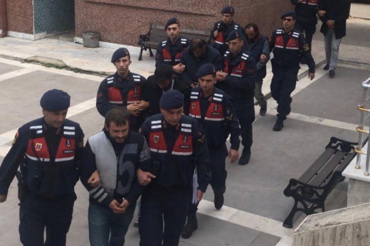Hırsızları, k&uuml;&ccedil;&uuml;kbaşların kulağındaki k&uuml;pe numaraları ele verdi