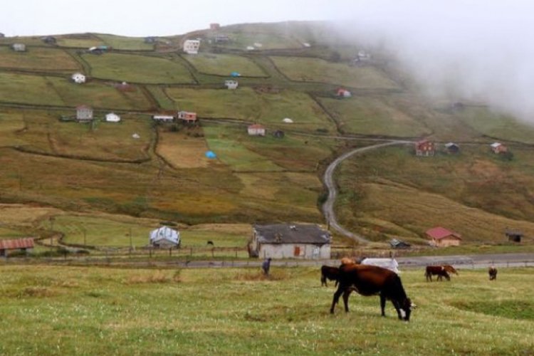 Barma Yaylası Turbalığı koruma altına alındı