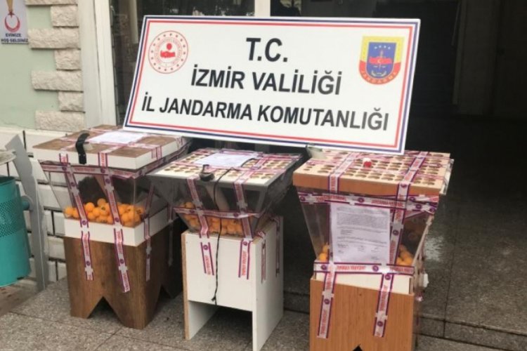 Jandarma 99 kişiyi kumar oynarken su&ccedil;&uuml;st&uuml; yakaladı