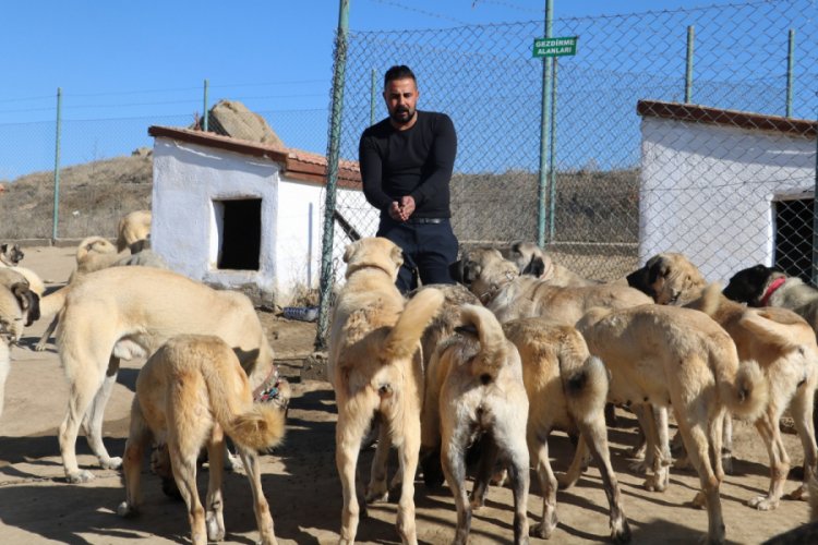 Anne karnında alıcı buluyorlar, kendileri k&uuml;&ccedil;&uuml;k fiyatları b&uuml;y&uuml;k