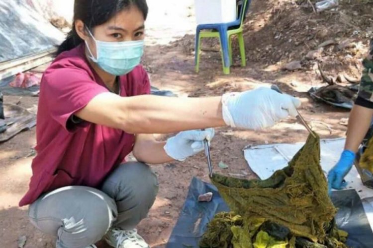 Tayland'da &ouml;l&uuml; bulunan geyiğin midesinden 7 kilo &ccedil;&ouml;p ve plastik &ccedil;ıktı