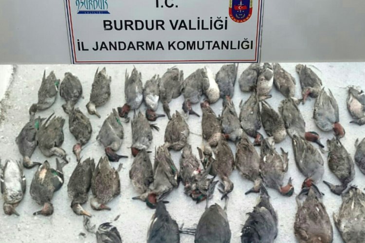 Kota fazlası &ouml;rdek avına 18 bin lira ceza