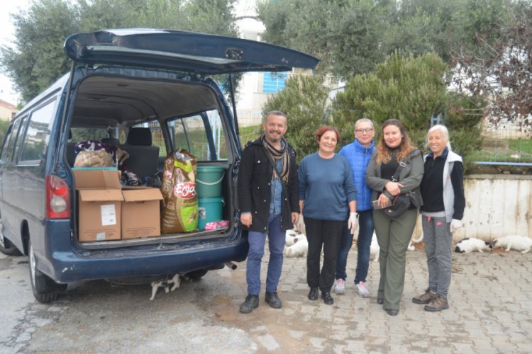 Sokak hayvanlarına sahip &ccedil;ıkıyorlar