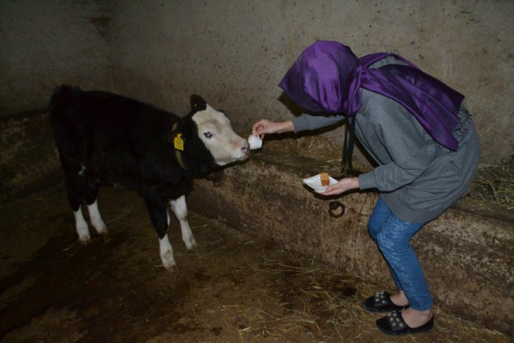 Bursa'da hayvanlarına kahve ikram ediyor