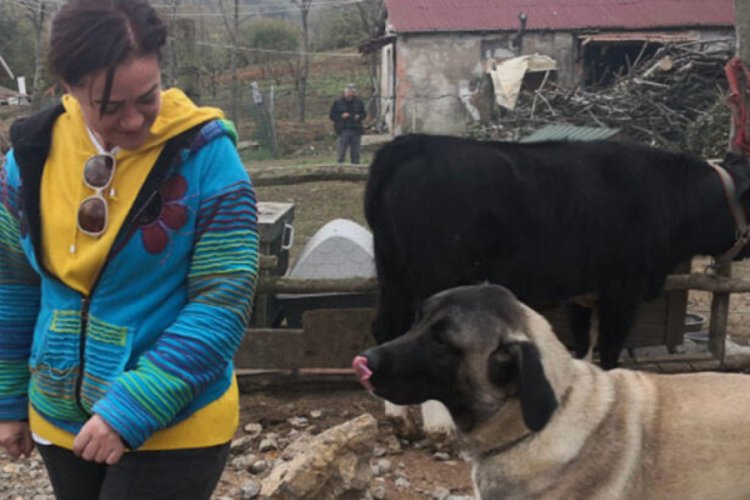 Doğum g&uuml;n&uuml;nde hayvan barınağını ziyaret etti