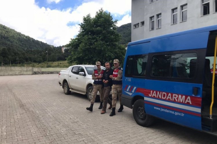 Seri katil, kurbanları pazarlık yapıp, geceleri katletmiş