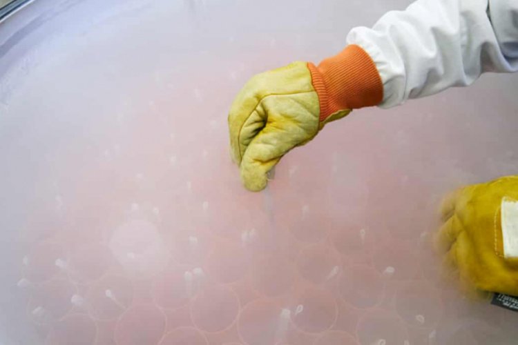 HIV pozitif bireyler i&ccedil;in ilk sperm bankası a&ccedil;ıldı