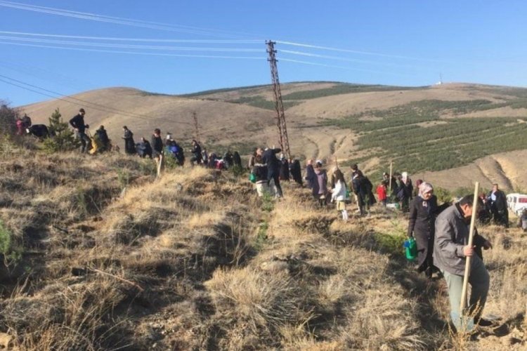 Yıl i&ccedil;inde doğan her bebek i&ccedil;in bir fidan dikildi