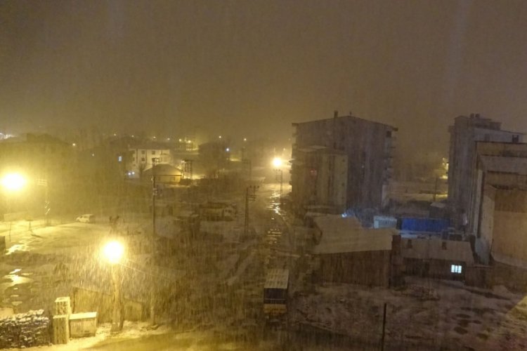 Van ve Hakkari'de kar yağışı etkili oldu
