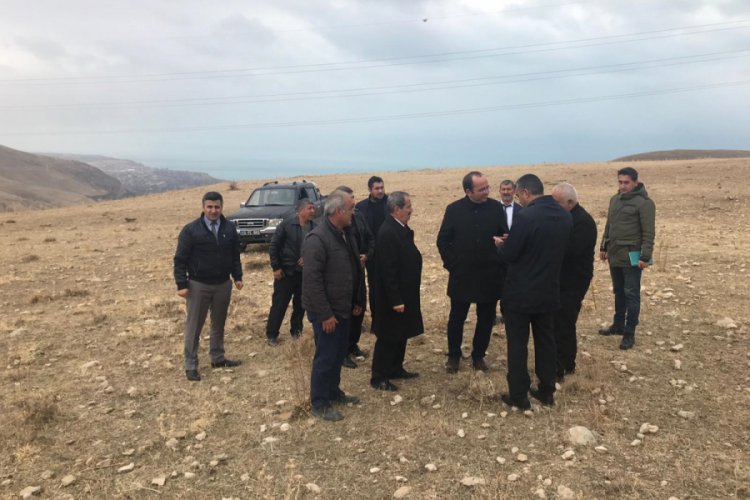 Adilcevaz'da kurulacak ceviz ormanları i&ccedil;in ilk adım atıldı