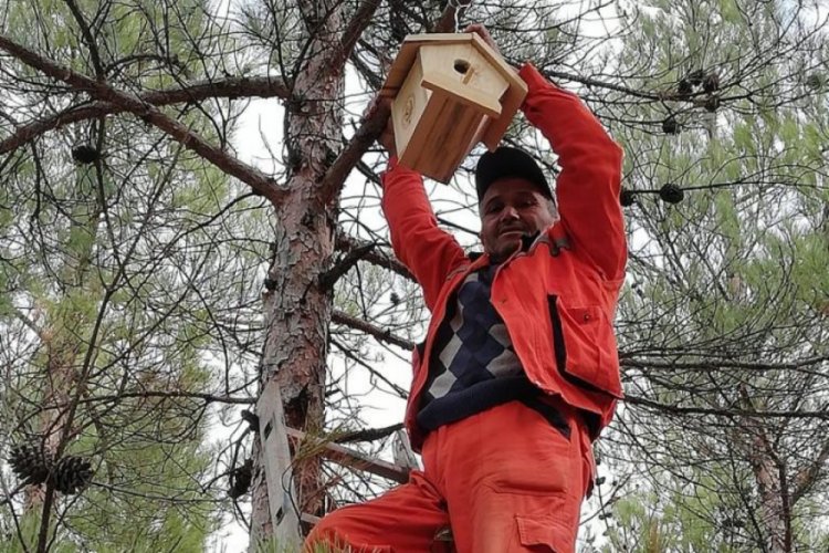 Ağa&ccedil;lara 4 bin adet kuş yuvası asıldı