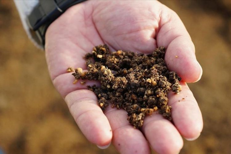 Zeytin &ccedil;ekirdeğinden &uuml;retilen &ccedil;evreci yakıta talep artıyor