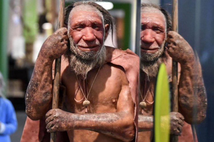 "Neandertallerin sonunu 'k&ouml;t&uuml; şansları' getirdi"
