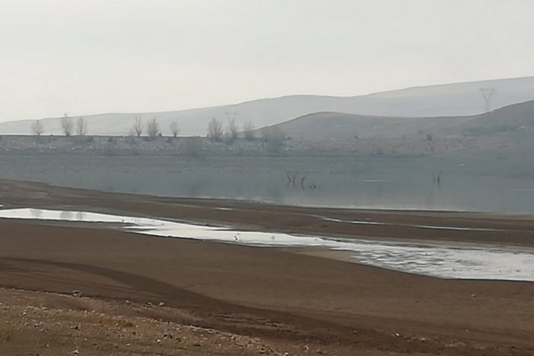 Su seviyesi d&uuml;şt&uuml;, ağa&ccedil;lar ortaya &ccedil;ıktı