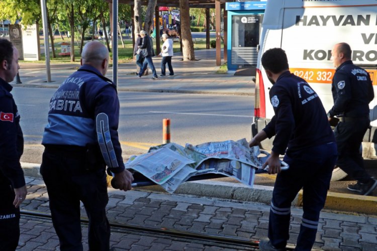 K&ouml;peğinin d&uuml;kkanı &ouml;n&uuml;nde &ouml;ld&uuml;ğ&uuml;n&uuml; duyan esnaf, &uuml;z&uuml;nt&uuml;den uzun s&uuml;re dışarıya &ccedil;ıkamadı