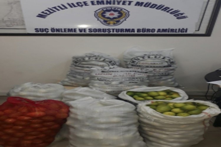 Limon hırsızları tutuklandı