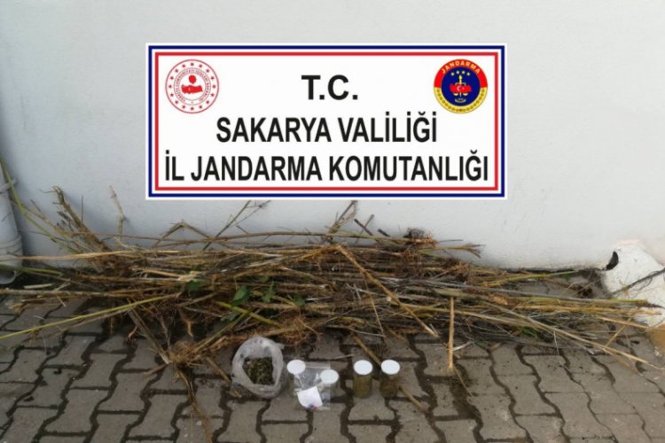 İş yerinde uyuşturucu eken bek&ccedil;i tutuklandı