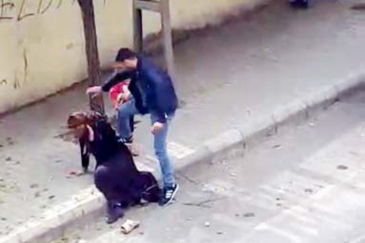 Serbest bırakılan koca, eşine ilk kez el kaldırmış