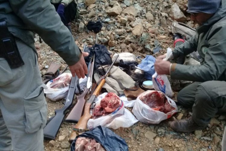 Ka&ccedil;ak yaban ke&ccedil;isi avına 30 bin 390 lira ceza