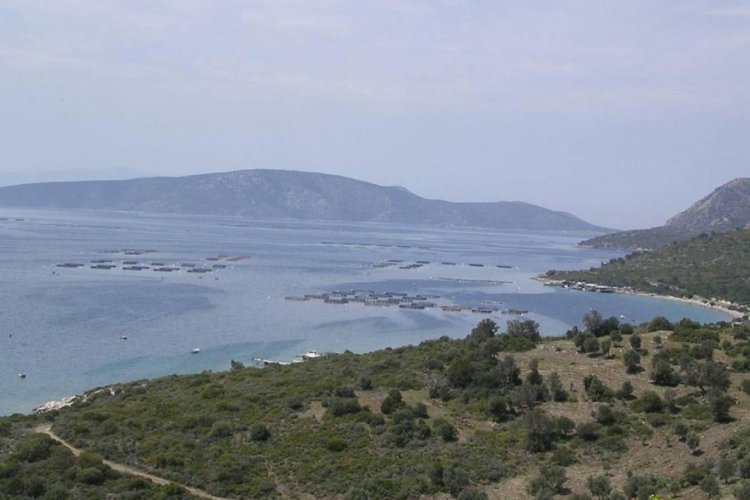 Karaburun Yarımadası'nda balık &ccedil;iftliği tepkisi