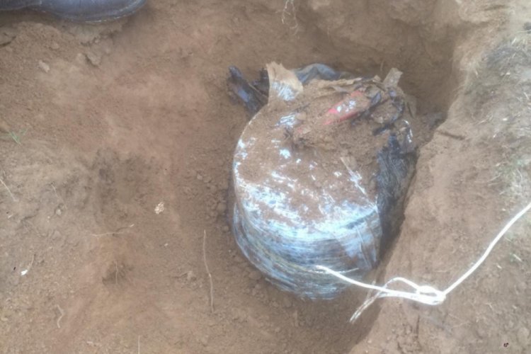 Bitlis'te araziye gizlenmiş EYP imha edildi