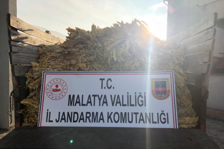 T&uuml;t&uuml;n hırsızları yakalandı